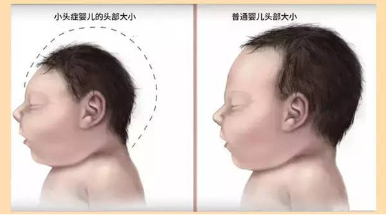 【消殺公司,北京朝陽區消殺公司】東方漢諾—北京快訊