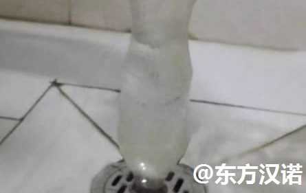 【衛生間有蛾蚋？滅蟲公司教你一招殲滅煩人的小飛蟲！—北京專業滅鼠公司東方漢諾】