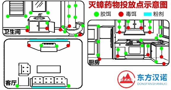 小強夾縫中求生存，應(yīng)怎么徹底消滅蟑螂？-東方漢諾-北京快訊
