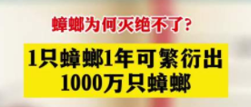【北京專業殺蟑螂公司】東方漢諾—北京快訊