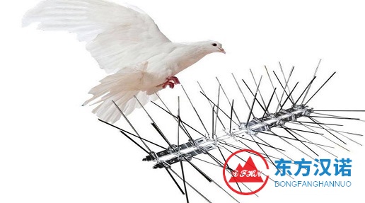 防鳥刺是個啥？有什么作用？-東方漢諾消殺公司-北京快訊