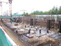 建筑業(yè)殺蟲滅鼠